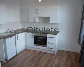 Clyde Court (Professional - Furnished)